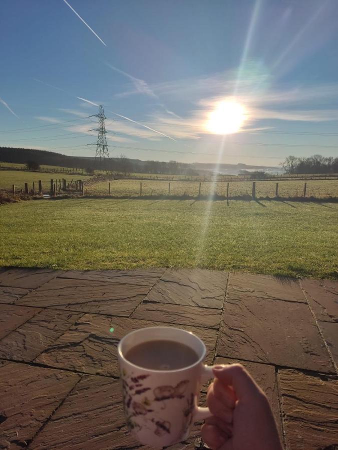 Thistle Pod Farm Stay With Hottub Sleeps 2 Galston  Exterior photo